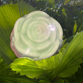 صابونة الخيار والخس  🥒 Glowin