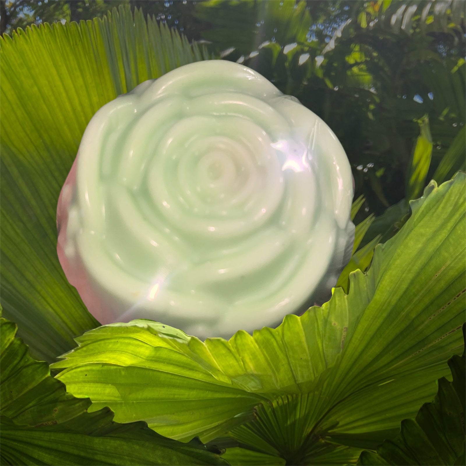 صابونة الخيار والخس  🥒 Glowin